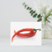 チリペッパー ポストカード (スタンド正面)