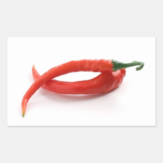 チリペッパー 長方形シール (正面)