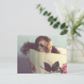 チリンだけ (スタンド正面)