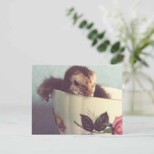 チリンだけ (スタンド正面)