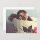 チリンだけ (正面/裏面)