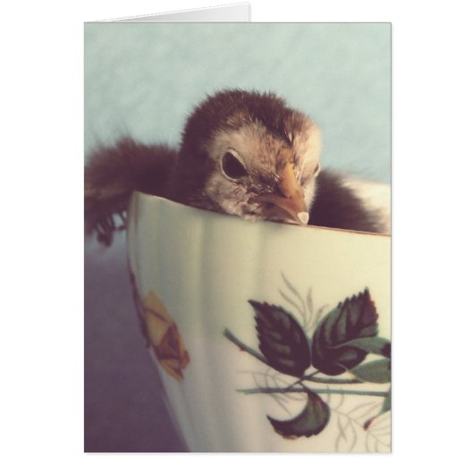 チリンだけ (正面)