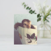 チリンだけ ポストカード (スタンド正面)