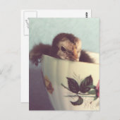 チリンだけ ポストカード (正面/裏面)