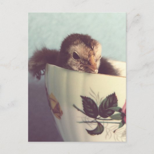 チリンだけ ポストカード (正面)