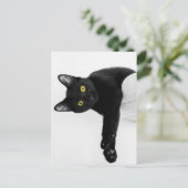 チリンだけ ポストカード (スタンド正面)