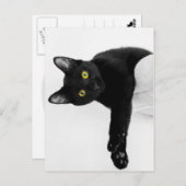 チリンだけ ポストカード (正面/裏面)