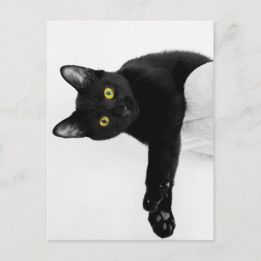 チリンだけ ポストカード (正面)