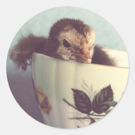 チリンだけ ラウンドシール (正面)