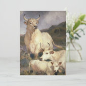 チリンガムの野牛（牛） カード (スタンド正面)