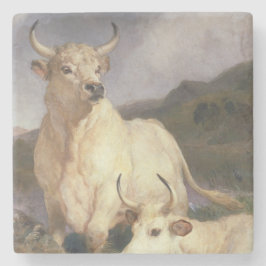 チリンガムの野牛（牛） ストーンコースター