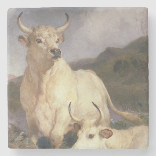 チリンガムの野牛（牛） ストーンコースター (正面)