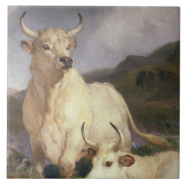 チリンガムの野牛（牛） タイル