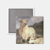 チリンガムの野牛（牛） マグネット (正面/裏面)