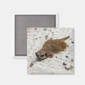 チリン・メルカット磁石 マグネット (正面/裏面)