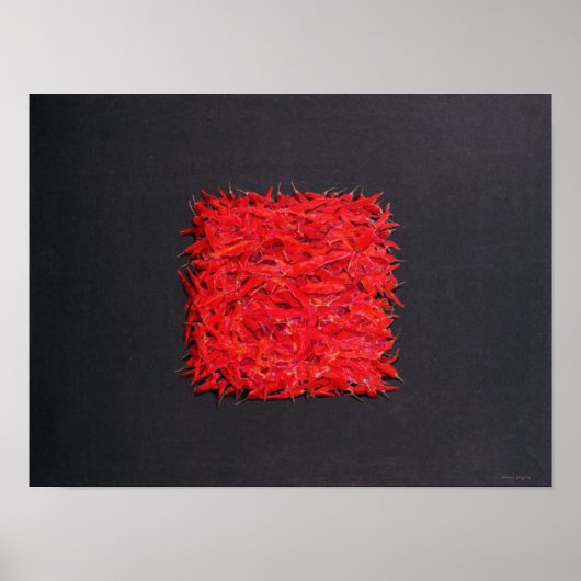 チリーズ ポスター (正面)