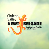 チリーノバレーニュートブリジデンドウインドウニッキング ウィンドウサイン (シート3)