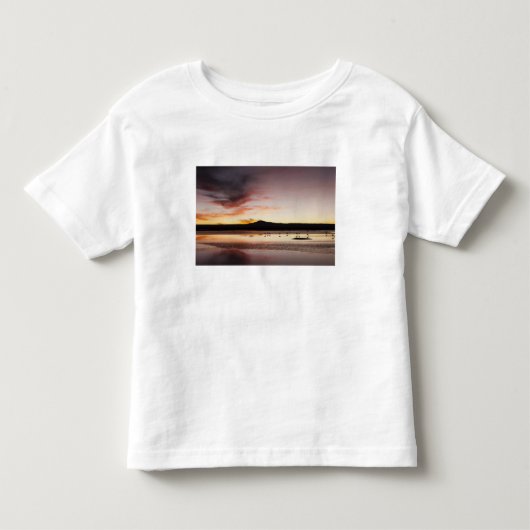 チリーフラミンゴ トドラーTシャツ (正面)