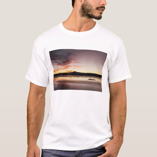 チリーフラミンゴ Tシャツ (正面)