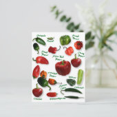 チリ品種 ポストカード (スタンド正面)