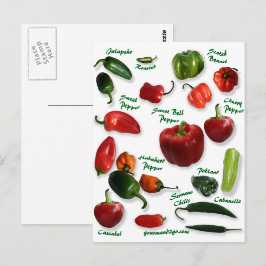 チリ品種 ポストカード (正面/裏面)