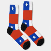 チリ国旗を掲げた女性用靴下 ソックス (右)