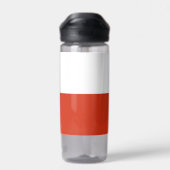 チリ国旗を掲げた水瓶 ウォーターボトル (背面)