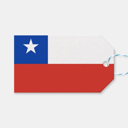 チリ国旗 ギフトタグ (正面(横))