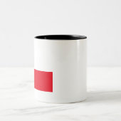 チリ国旗 ツートーンマグカップ (中央)
