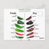 チリ新鮮でドライなサンダー_コーブ ポストカード (裏面)