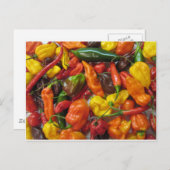 チリ杭 ポストカード (正面/裏面)