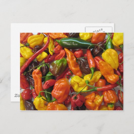 チリ杭 ポストカード (正面/裏面)