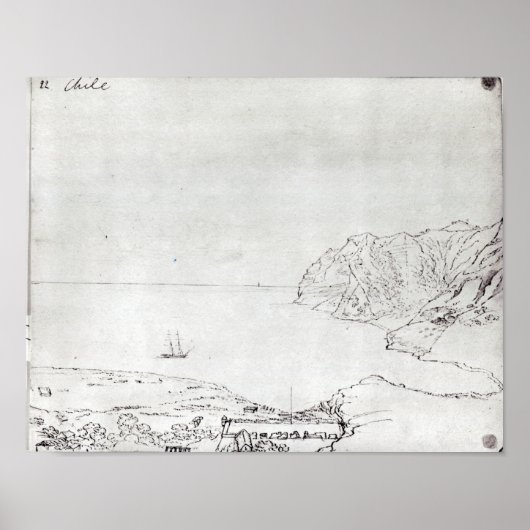 チリ沖の海岸の表示 ポスター (正面)