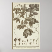 チリ3 ポスター (正面)