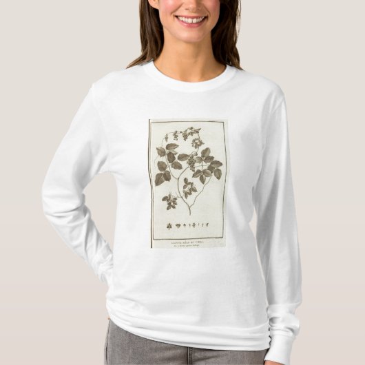 チリ7 Tシャツ (正面)