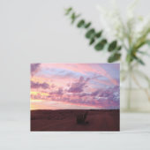 チリ，アタカマ砂漠 ポストカード (スタンド正面)