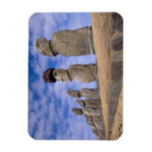 チリ、イースター島。15モアアットアフ マグネット (縦)