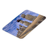 チリ、イースター島。15モアアットアフ マグネット (左側)