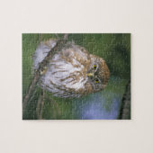 チリ、エイセン。若年性胸骨肉症 ジグソーパズル (横)