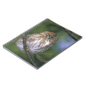 チリ、エイセン。若年性胸骨肉症 ノートブック (左側)