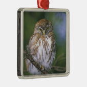 チリ、エイセン。若年性胸骨肉症 メタルオーナメント (右)