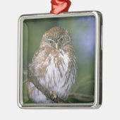 チリ、エイセン。若年性胸骨肉症 メタルオーナメント (左)