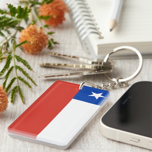 チリ キーホルダー (正面右)