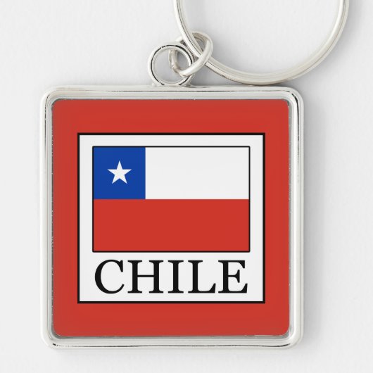 チリ キーホルダー (正面)