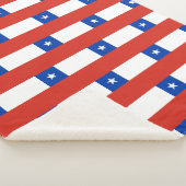 チリ シェルパブランケット (3/4)