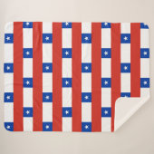 チリ シェルパブランケット (正面(横))