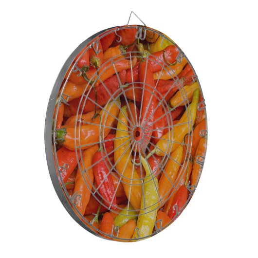 チリ ダーツボード (正面左)