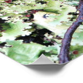 チリ，ティエラ・デル・フエゴ，インズワース湾 ポスター (角)