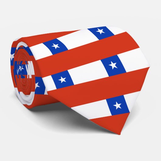 チリ ネクタイ (ロール)