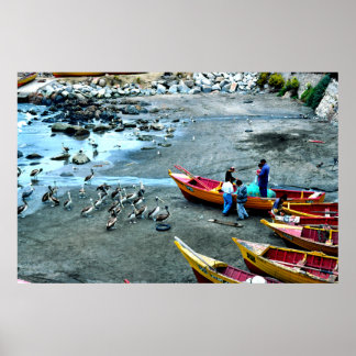 チリ、バルパライソ島、漁師とペリカン ポスター